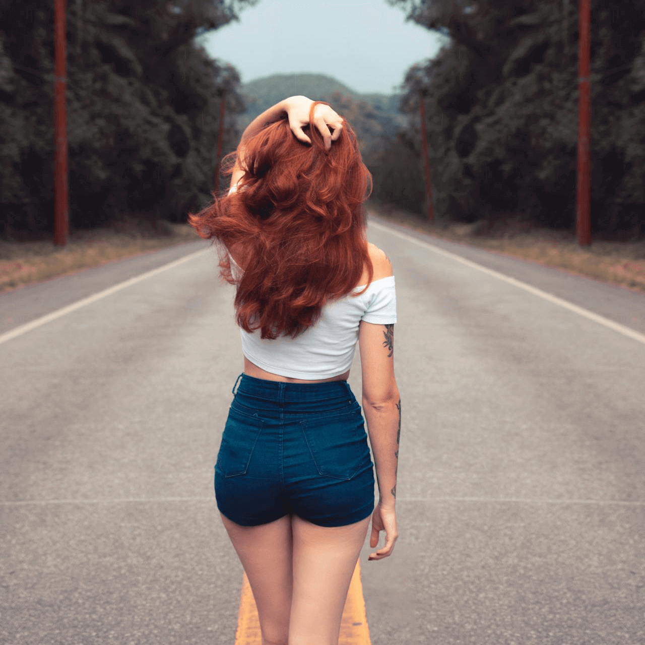 欢迎在宝塔面板安装Z-BlogPHP！